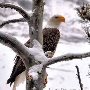 Meet your Posher, Greg